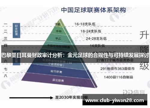 巴黎圣日耳曼财政审计分析:金元足球的合规性与可持续发展探讨 巴黎圣日耳曼财政审计分析:金元足球的合规性与可持续发展探讨