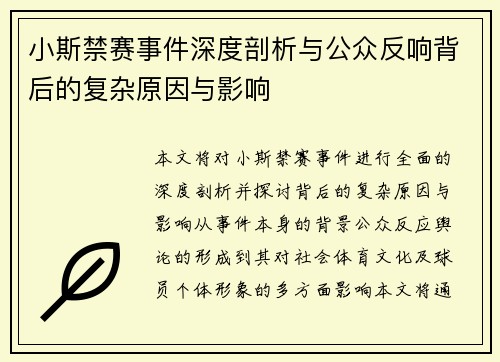 小斯禁赛事件深度剖析与公众反响背后的复杂原因与影响